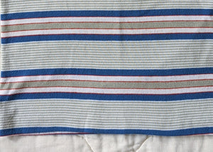 Brittania Blue Striped Polo Shirt 5