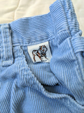 Load image into Gallery viewer, Light Blue Corduroy Pants with Embroidered Pockets 3T
